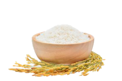 Rice