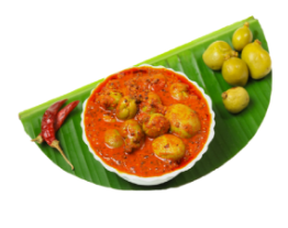 MasalaPowders